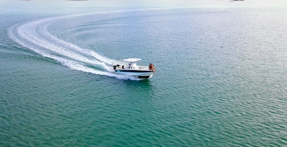 blue_safari_0022_sb02.jpg