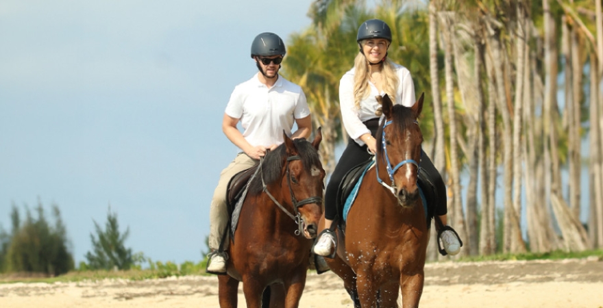 Haras_Du_Morne_12366