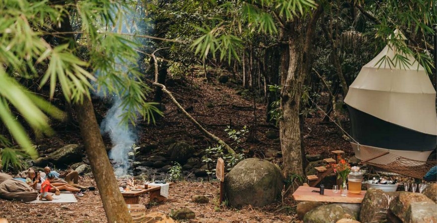 Bel_Ombre_Nature_Reserve_wildlife_tour2_copy__1